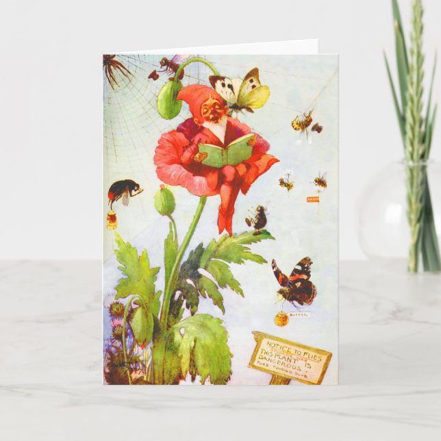 Cartão Gnome Papoula (Frente)