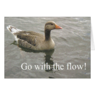 Cartão go with the flow duck