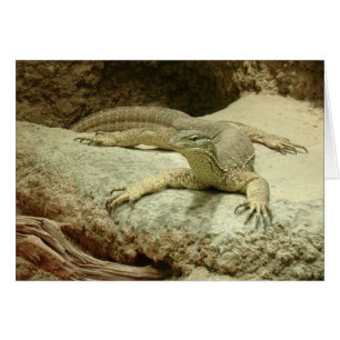 Cartão Goanna da areia