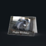 Cartão Goat Birthday Card<br><div class="desc">From a photo taken of a black and gray goat laying down by Brenda Thour. Copyright by Brenda Thour.</div>