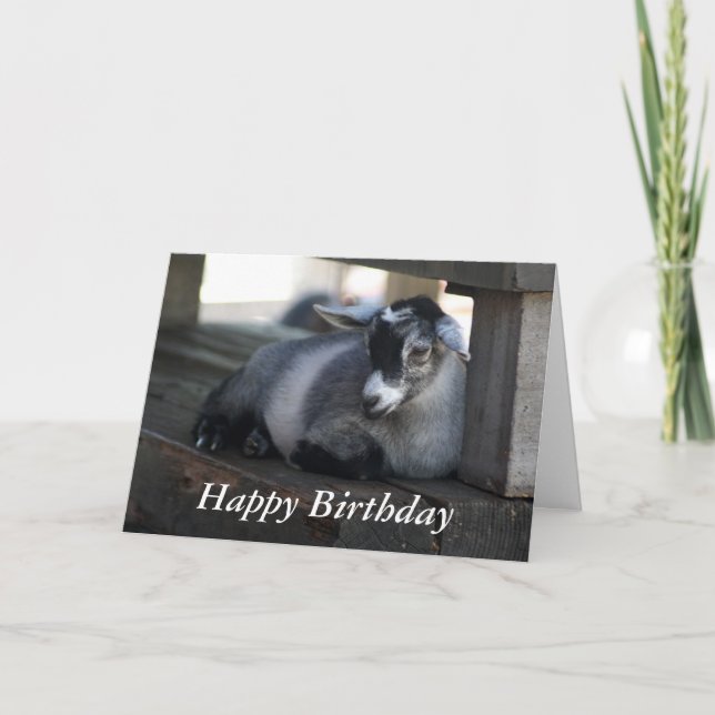 Cartão Goat Birthday Card (Frente)