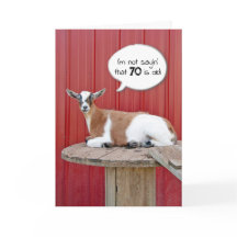 Goat Humor para o Aniversário 70