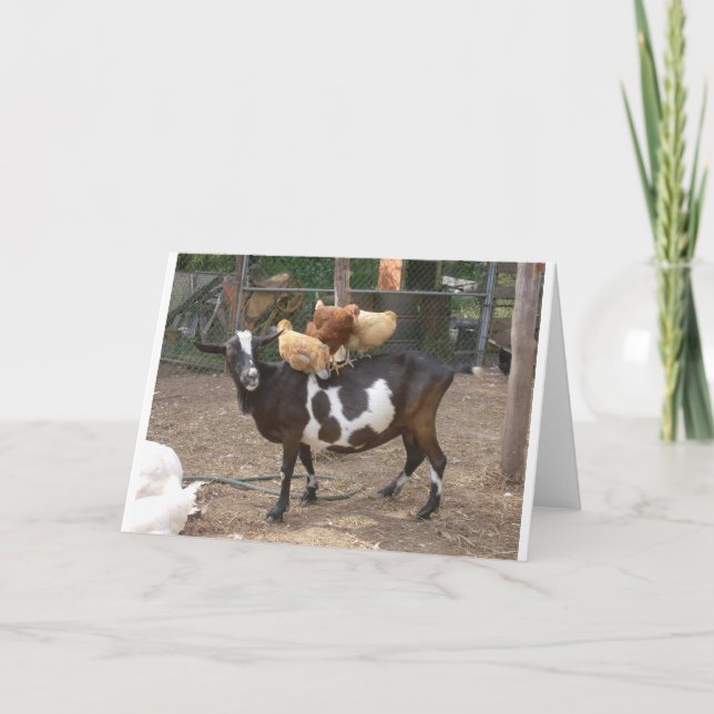 Cartão Goat taxi (Frente)