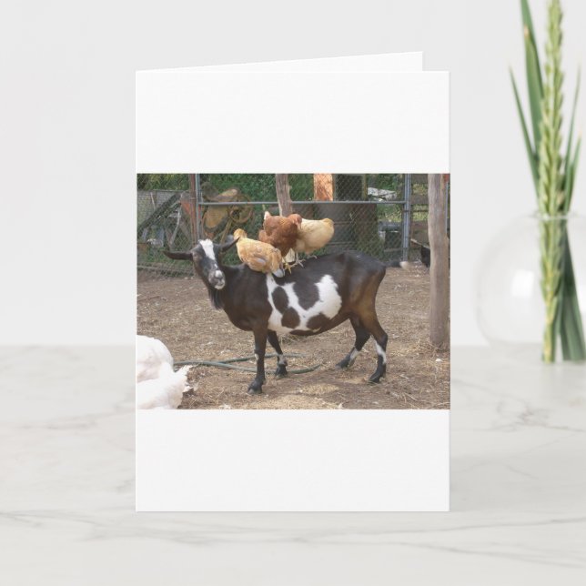 Cartão Goat taxi (Frente)