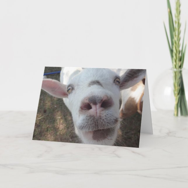 Cartão Goat Who Stared at Man Greeting Card (Frente)