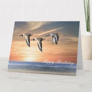 Cartão Godwins em Voo