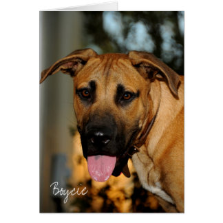 Cartão GOE_3425, Boycie