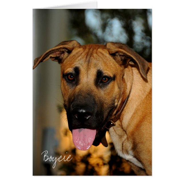 Cartão GOE_3425, Boycie (Frente)