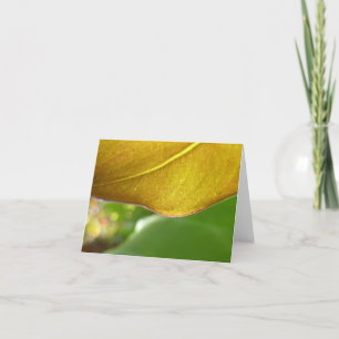 Cartão Gold Leaf Notecard