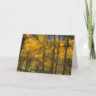 Cartão Golden Aspen Trees Blank Card