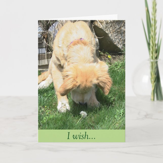 Cartão Golden Dandelion Wish Sympathy (Frente)