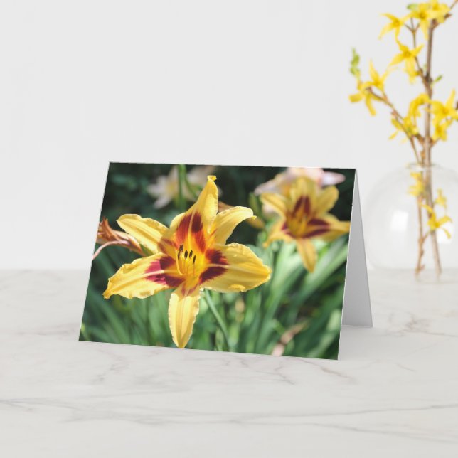 Cartão Golden Daylily Blank Inside Personal Message (Flor Amarela)