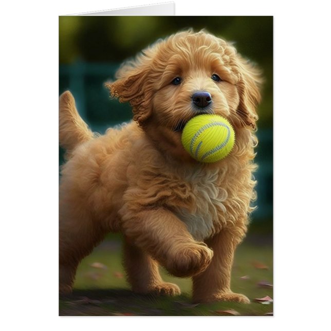 Cartão Golden Doodle Puppy Plays Ball All Occasions Greet (Frente)