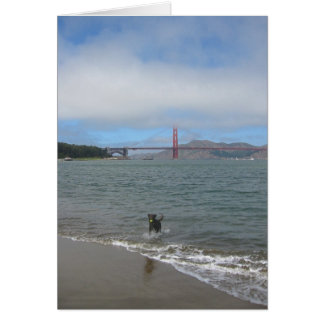 Cartão Golden gate bridge Jake