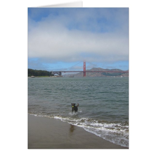 Cartão Golden gate bridge Jake (Frente)