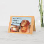 Cartão Golden Grandson Birthday Golden Retriever<br><div class="desc">Celebrate your grandson's birthday with an endearing card to delight golden retriever owners. The card features a beautiful golden in a classic champion pose. Designed in cheerful gold and black colors,  the card will be a great birthday keepsake for a golden retriever fan!</div>
