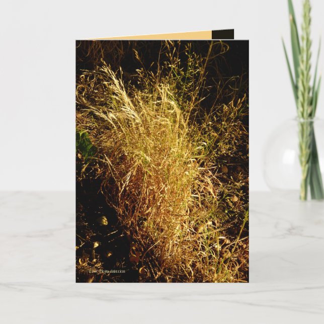 Cartão Golden Harvest (Frente)