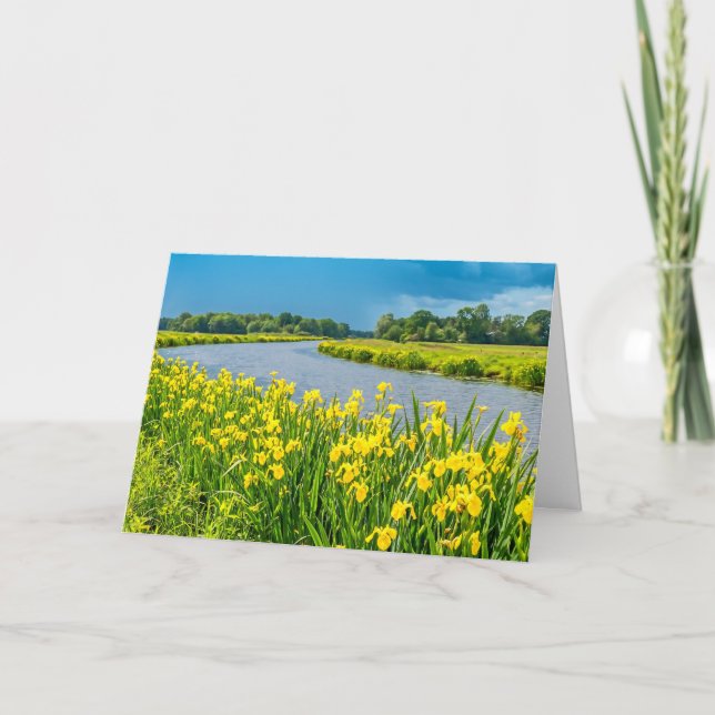 Cartão Golden Irises inspiring the symbol Fleur de Lis.  (Frente)