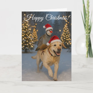 Cartão Golden Labrador and Partridge Christmas card