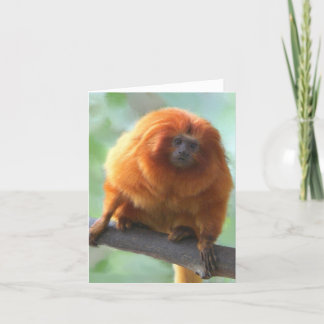 Cartão Golden-Lion Tamarin Note Cards
