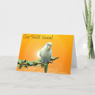 Cartão Golden Parakeet Get Well Soon Card