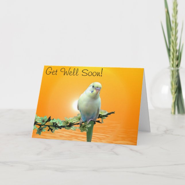 Cartão Golden Parakeet Get Well Soon Card (Frente)