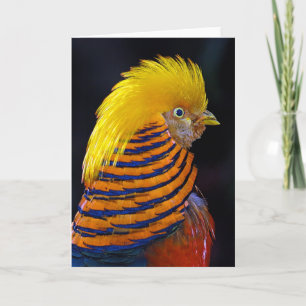 Cartão Golden pheasant print greeting card