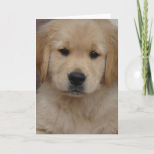Cartão Golden Puppy Greeting Card