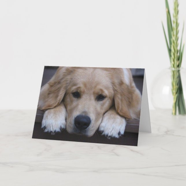 Cartão Golden Puppy Paws Greeting Card (Frente)
