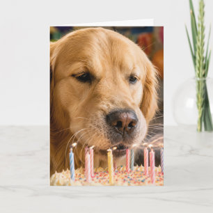 Cartão Golden Retriever Apagando Velas de Aniversário