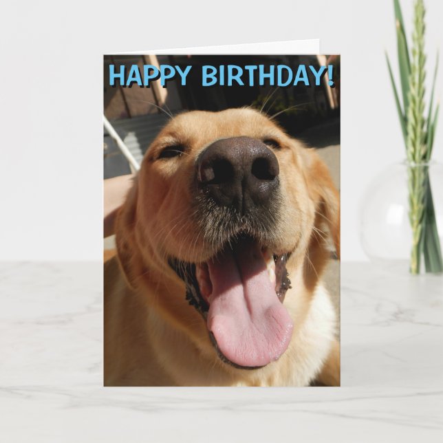 Cartão Golden Retriever birthday card (Frente)