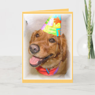 Cartão Golden Retriever birthday card.