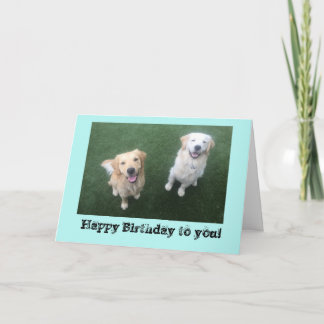 Cartão Golden Retriever Birthday Card