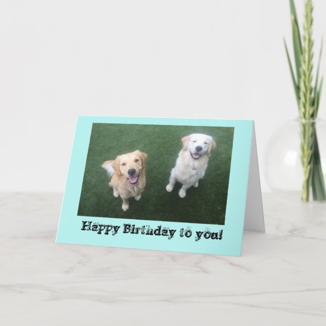 Cartão Golden Retriever Birthday Card (Frente)