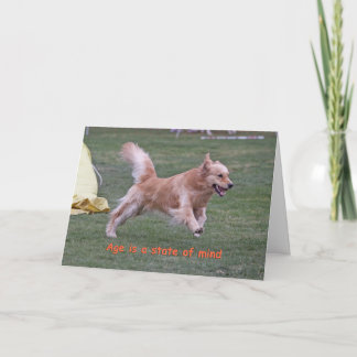 Cartão Golden Retriever Birthday Card 'Age'