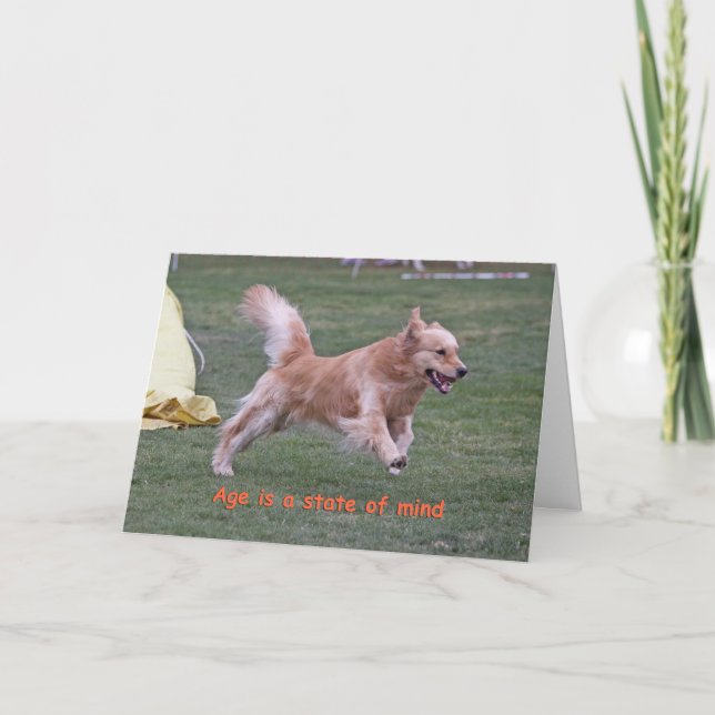 Cartão Golden Retriever Birthday Card 'Age' (Frente)