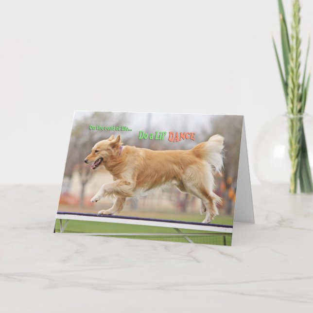 Cartão Golden Retriever birthday Card 'Road' (Frente)