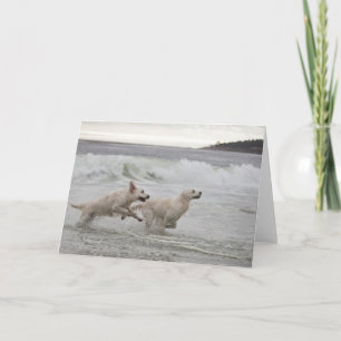 Cartão Golden Retriever Blank Photo Card