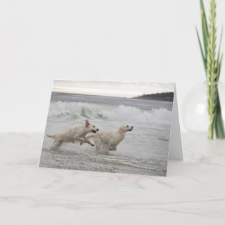 Cartão Golden Retriever Blank Photo Card