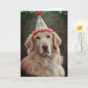 Cartão Golden Retriever & Chapéu de Festa com Feliz Anive