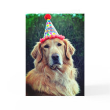 Golden Retriever & Chapéu de Festa com Feliz Anive