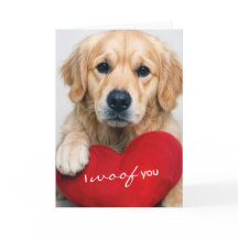 Golden Retriever Com Travesseiro Coração de São Va