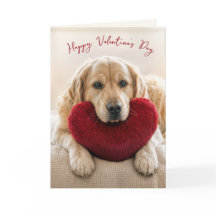 Golden Retriever do Dia dos Namorados com Travesse