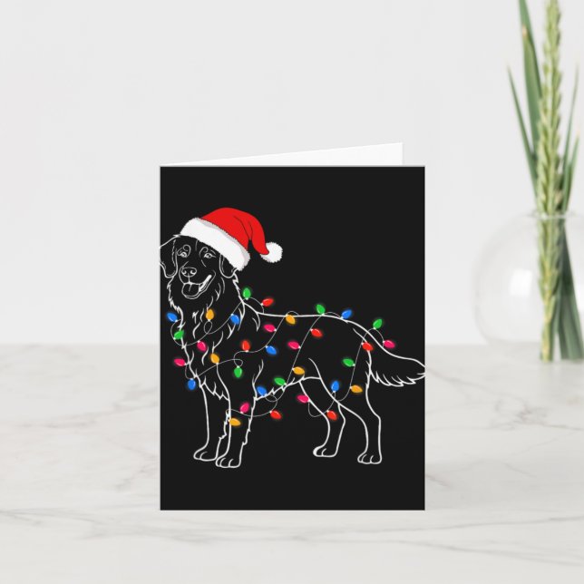 Cartão Golden Retriever Dog Christmas Lights Santa Xmas D (Frente)