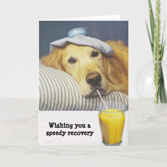 Cartão Golden Retriever Get Well Card (Frente)