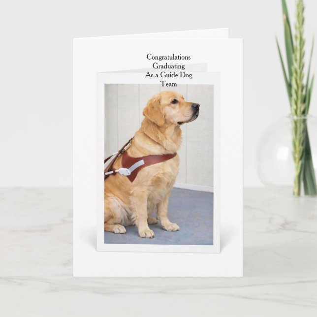 Cartão Golden Retriever Guide Dog Graduation (Frente)