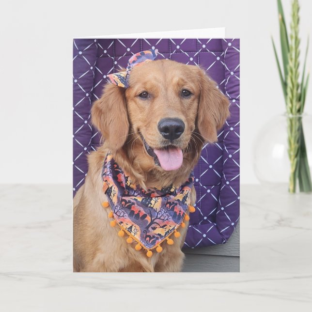 Cartão Golden Retriever Halloween greeting card (Frente)