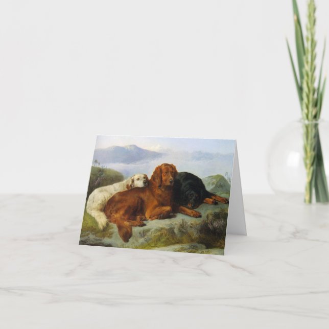 Cartão Golden Retriever, Irish and Gordon Setter Notecard (Frente)