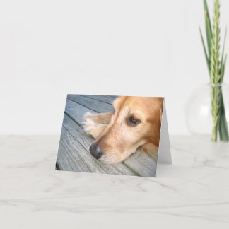 Cartão Golden Retriever Note Card