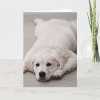 Cartão Golden Retriever Note card